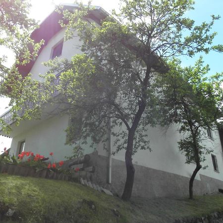 Pr' Hribar Apartman Zgornje Gorje Kültér fotó