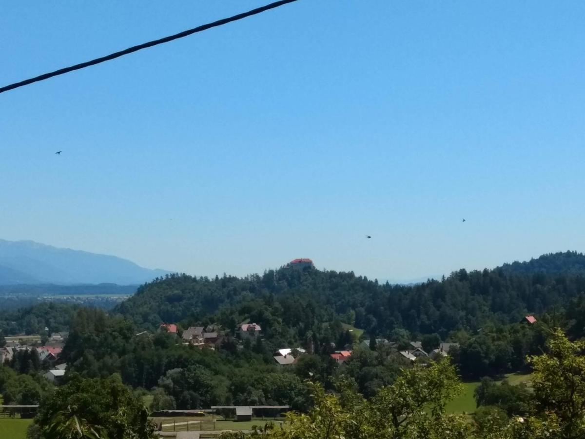 Pr' Hribar Apartman Zgornje Gorje Kültér fotó