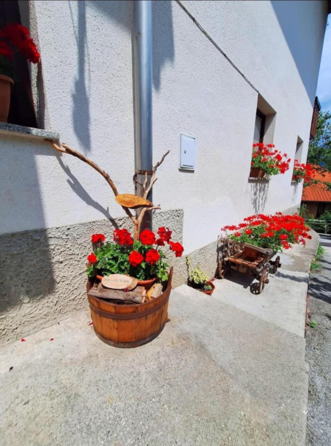 Pr' Hribar Apartman Zgornje Gorje Kültér fotó