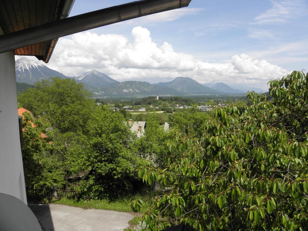 Pr' Hribar Apartman Zgornje Gorje Kültér fotó